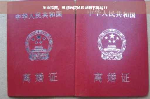 全面指南，获取医院急诊证明书详解??