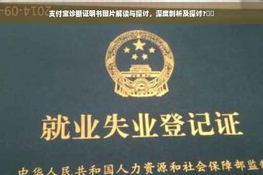 支付宝诊断证明书图片解读与探讨，深度剖析及探讨?⚡️