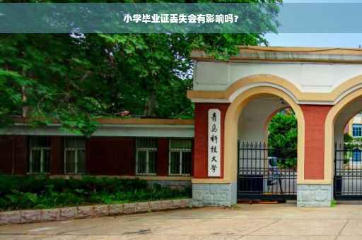 小学毕业证丢失会有影响吗？
