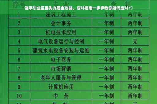 饶平毕业证丢失办理全攻略，应对指南一步步教你如何应对?✨
