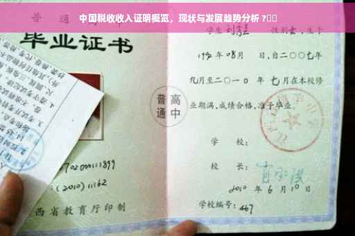 中国税收收入证明概览，现状与发展趋势分析 ?⚡️