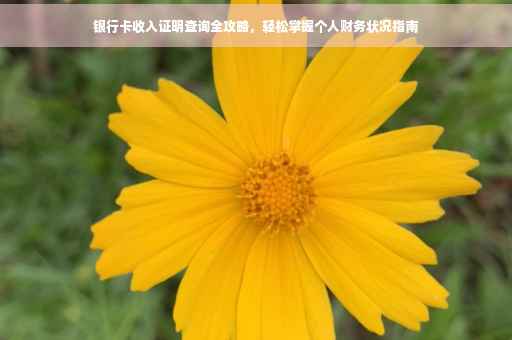 银行卡收入证明查询全攻略，轻松掌握个人财务状况指南