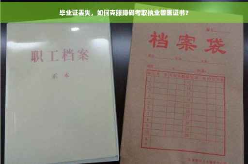 毕业证丢失，如何克服障碍考取执业兽医证书？