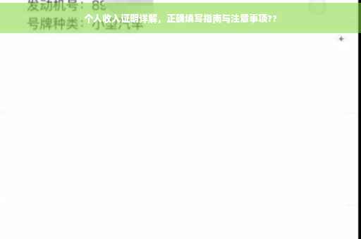 个人收入证明详解，正确填写指南与注意事项??