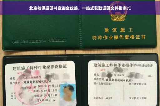 北京参保证明书查询全攻略，一站式获取证明文件指南?✨