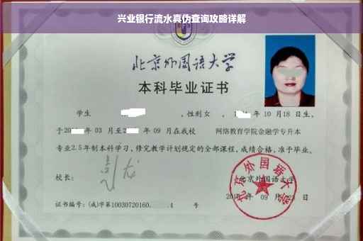 兴业银行流水真伪查询攻略详解