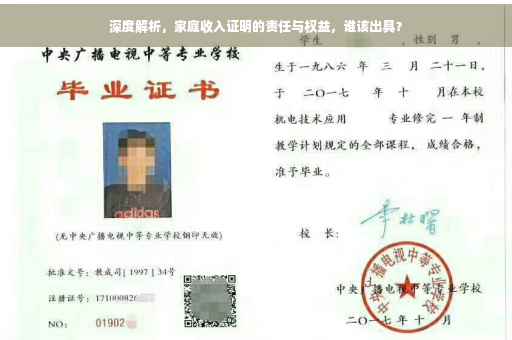 深度解析，家庭收入证明的责任与权益，谁该出具？
