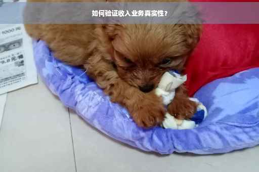 如何验证收入业务真实性？