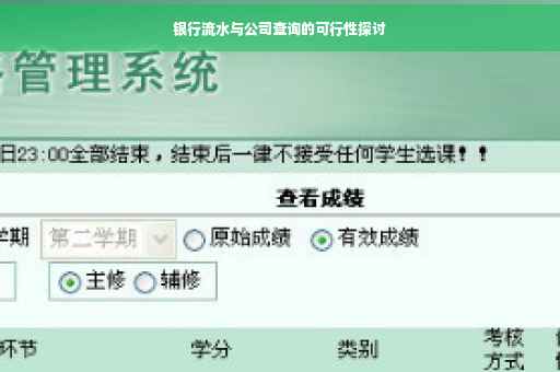 银行流水与公司查询的可行性探讨