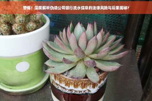警惕！深度解析伪造公司银行流水信息的法律风险与后果揭秘?