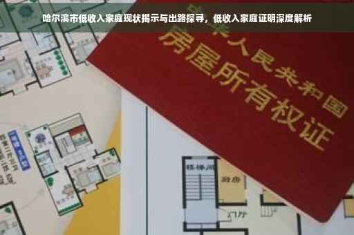 哈尔滨市低收入家庭现状揭示与出路探寻，低收入家庭证明深度解析