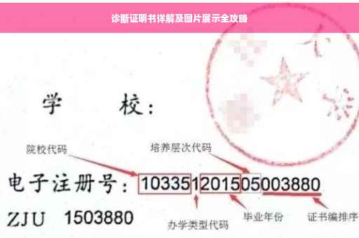 诊断证明书详解及图片展示全攻略