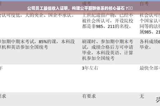 公司员工最低收入证明，构建公平薪酬体系的核心基石 ?⚡️