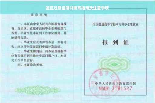 签证过期证明书撰写指南及注意事项
