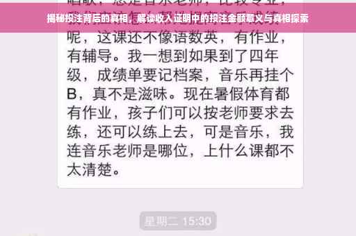 揭秘投注背后的真相，解读收入证明中的投注金额意义与真相探索