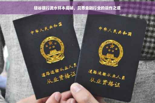 硅谷银行流水样本揭秘，洞悉金融行业的运作之道