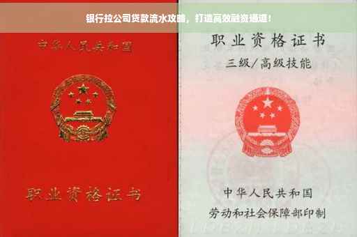 银行拉公司贷款流水攻略，打造高效融资通道！