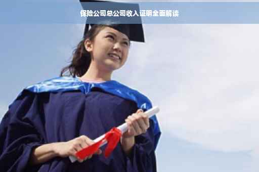 保险公司总公司收入证明全面解读