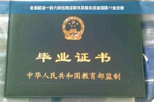 全面解读一到六级伤残证明书及相关权益保障??全攻略