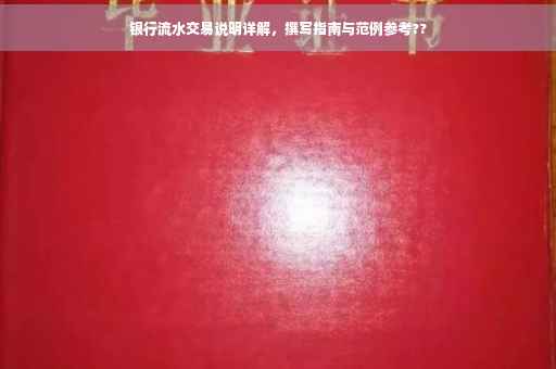 银行流水交易说明详解，撰写指南与范例参考??