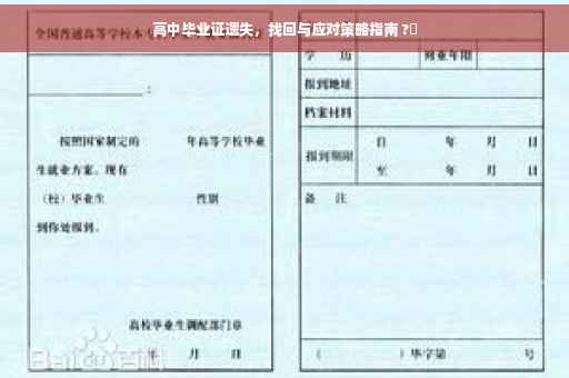 高中毕业证遗失，找回与应对策略指南 ?✨