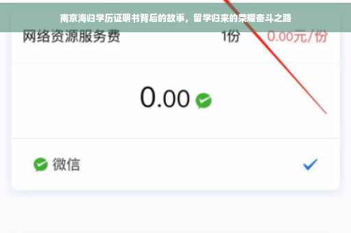 南京海归学历证明书背后的故事，留学归来的荣耀奋斗之路