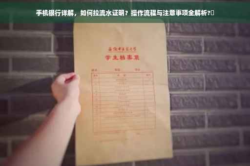 手机银行详解，如何拉流水证明？操作流程与注意事项全解析?✨