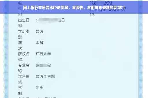 网上银行交易流水IP的奥秘，重要性、应用与未来趋势展望?✨