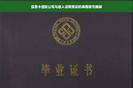 信用卡借款公司与收入证明背后的真相细节揭秘