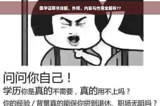 医学证明书详解，外观、内容与作用全解析??