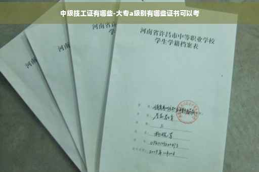 中级技工证有哪些-大专a级别有哪些证书可以考