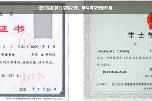 散打运动员的荣耀之路，奋斗与荣誉的见证
