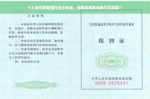 个人如何获取银行流水账单，详细指南及自助打印流程??