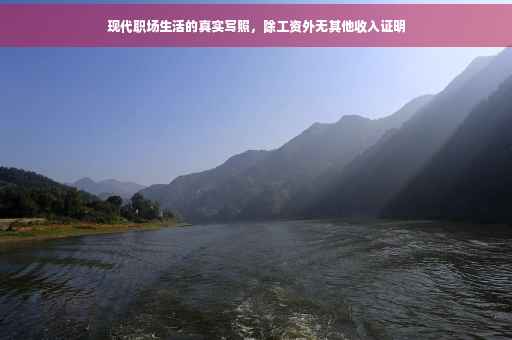 现代职场生活的真实写照，除工资外无其他收入证明