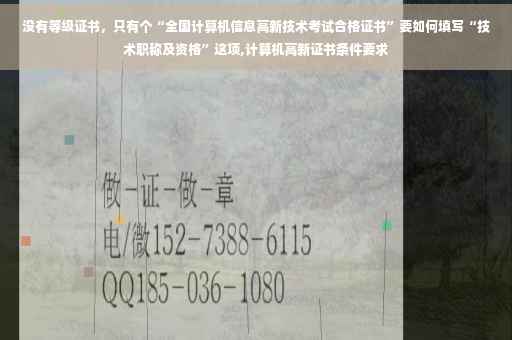 没有等级证书，只有个“全国计算机信息高新技术考试合格证书”要如何填写“技术职称及资格”这项,计算机高新证书条件要求