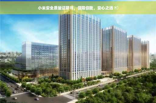 小米安全质量证明书，保障你我，安心之选 ?✨