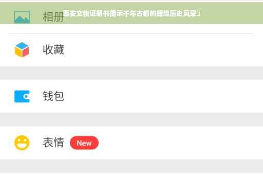 西安文物证明书揭示千年古都的辉煌历史风采✨