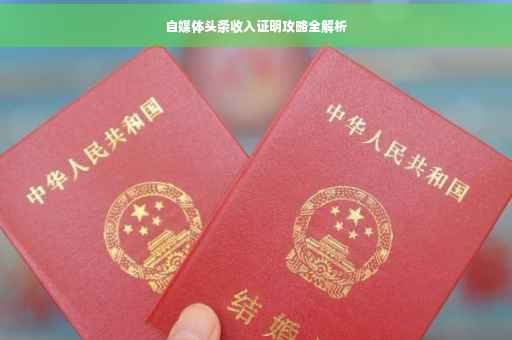 自媒体头条收入证明攻略全解析