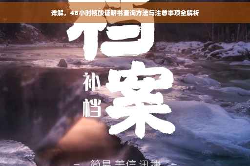 详解，48小时核酸证明书查询方法与注意事项全解析