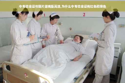 中专毕业证书图片湖南版高清,为什么中专毕业证有红色和绿色