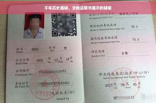 千年历史揭秘，文物证明书揭示的秘密