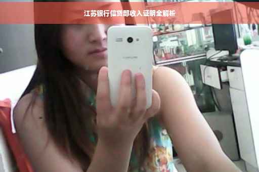 江苏银行信贷部收入证明全解析