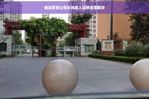 粮油贸易公司补贴收入证明全面解析