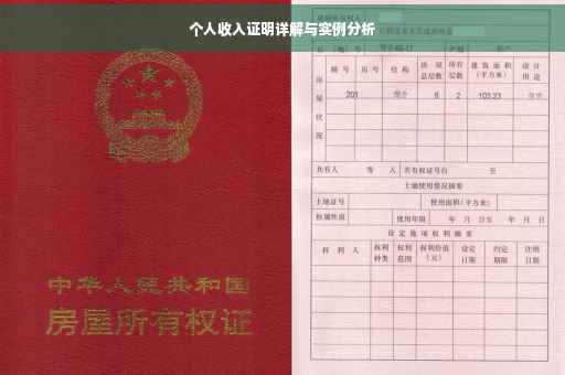 个人收入证明详解与实例分析