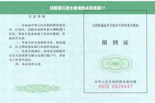详解银行流水查询地点及流程??