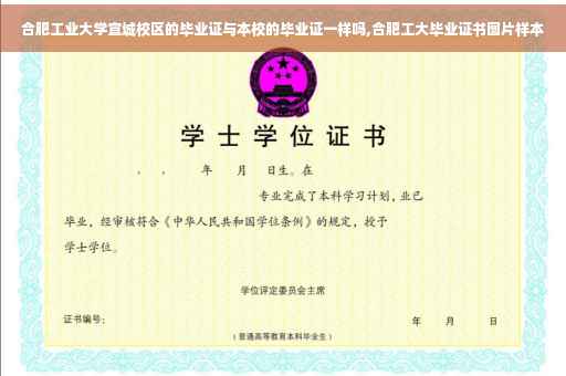 合肥工业大学宣城校区的毕业证与本校的毕业证一样吗,合肥工大毕业证书图片样本