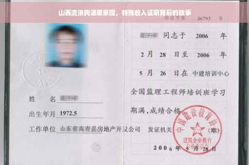 山西流浪狗温暖家园，特殊收入证明背后的故事