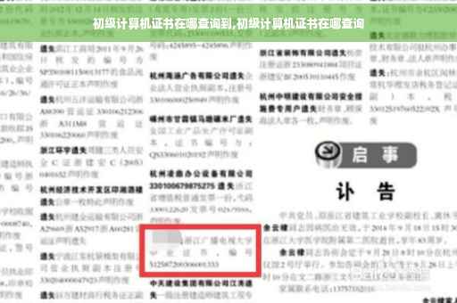 初级计算机证书在哪查询到,初级计算机证书在哪查询