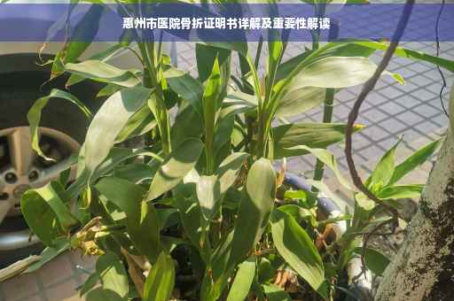 惠州市医院骨折证明书详解及重要性解读