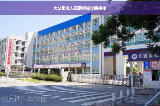 大公司收入证明模板详解指南